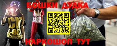 сатива Славгород