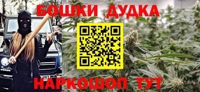 МДПВ Сланцы