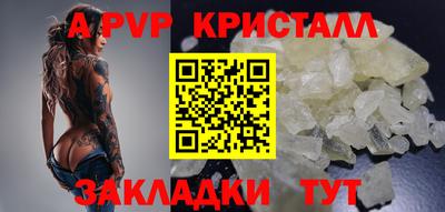 сатива Славгород
