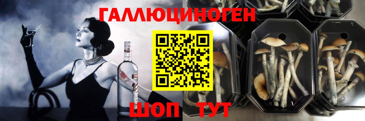 купить наркотики сайты  Галлюциногенные грибы мухоморы  Новошахтинск  Вход с VPN  Галлюциногенные грибы Magic Shrooms 