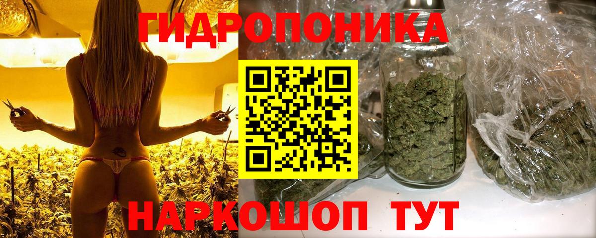 Канабис White Widow Новошахтинск